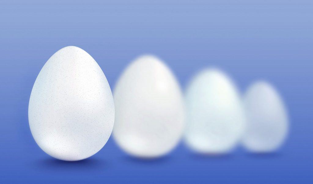white, egg, eggs-6899599.jpg